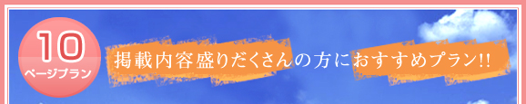 10ページプラン掲載内容盛りだくさんの方におすすめプラン!!