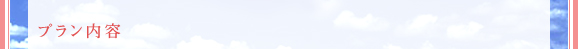 プラン内容